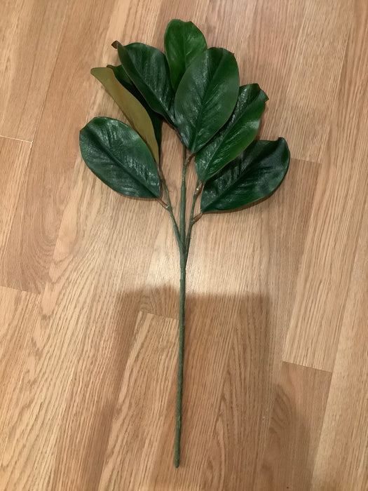 Magnolia stem greenery