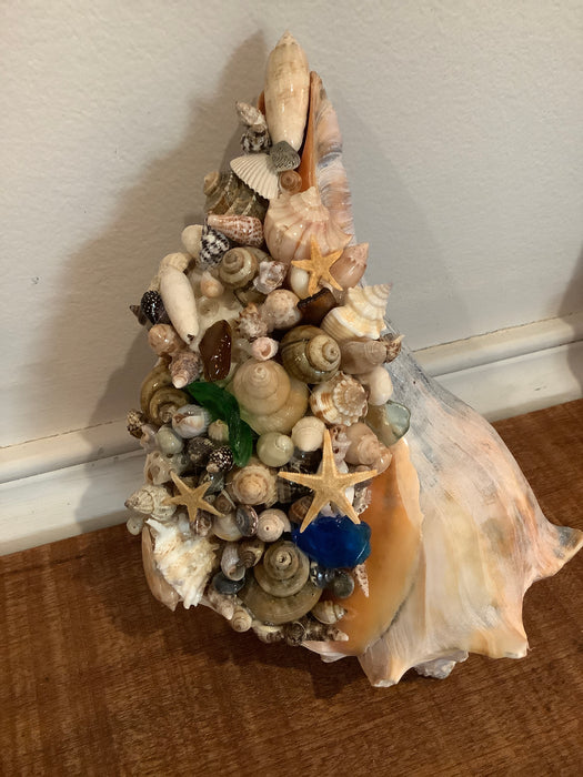 Whelk shell with baby shells