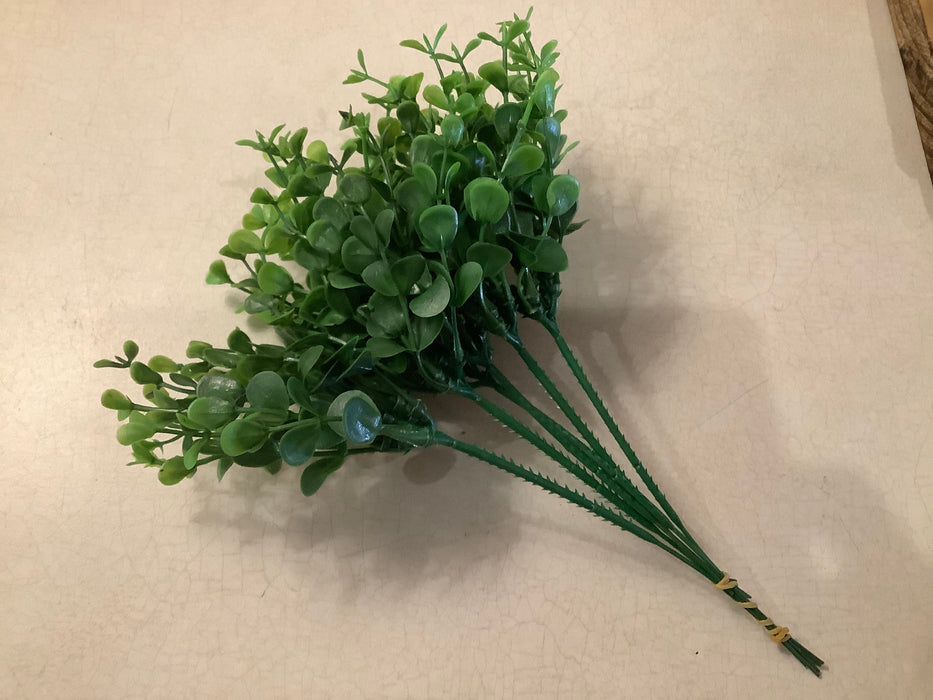Boxwood bundle