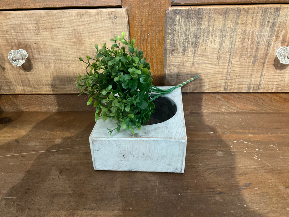 Boxwood bundle
