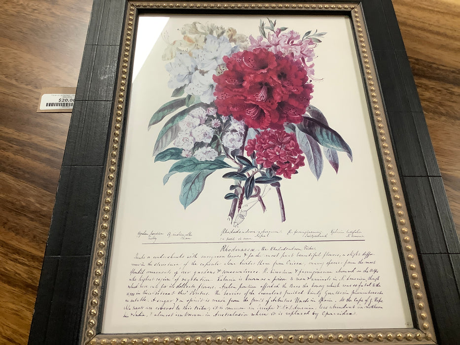 Floral print framed