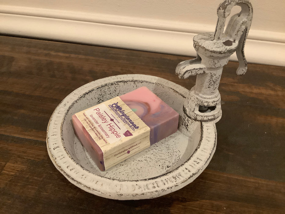 Water pump soap dish