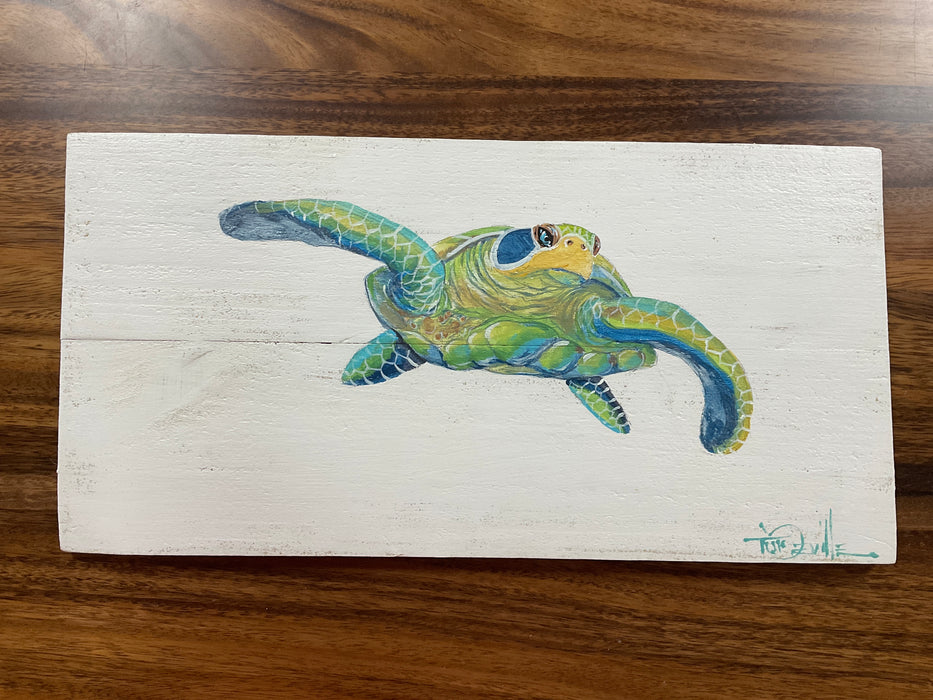 Painted turtle on boards