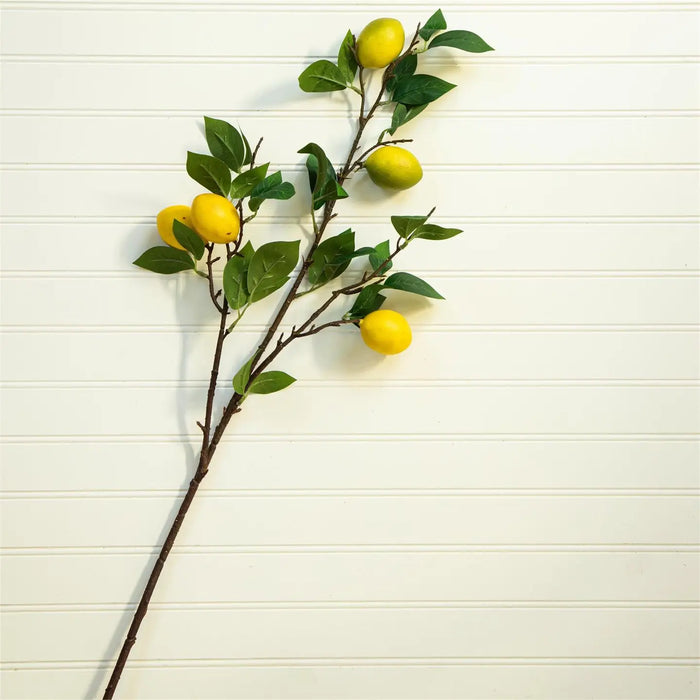 Lemon Branch