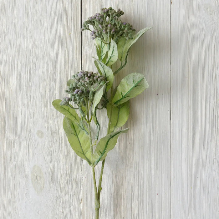 Seeded Foliage - Lavender