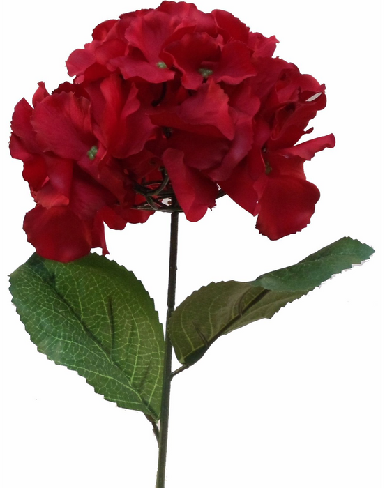 Hydrangea red stem - 29"