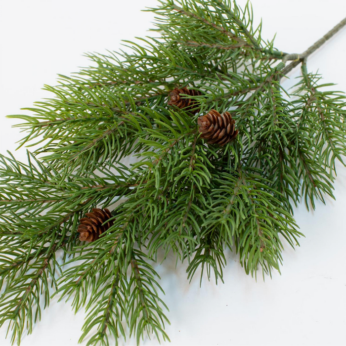 Stem -  Hemlock with Pinecones