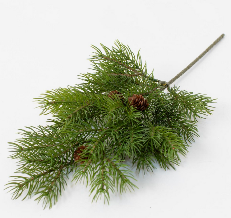 Stem -  Hemlock with Pinecones