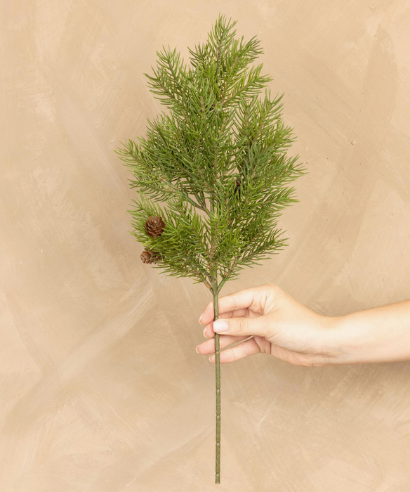 Stem -  Hemlock with Pinecones