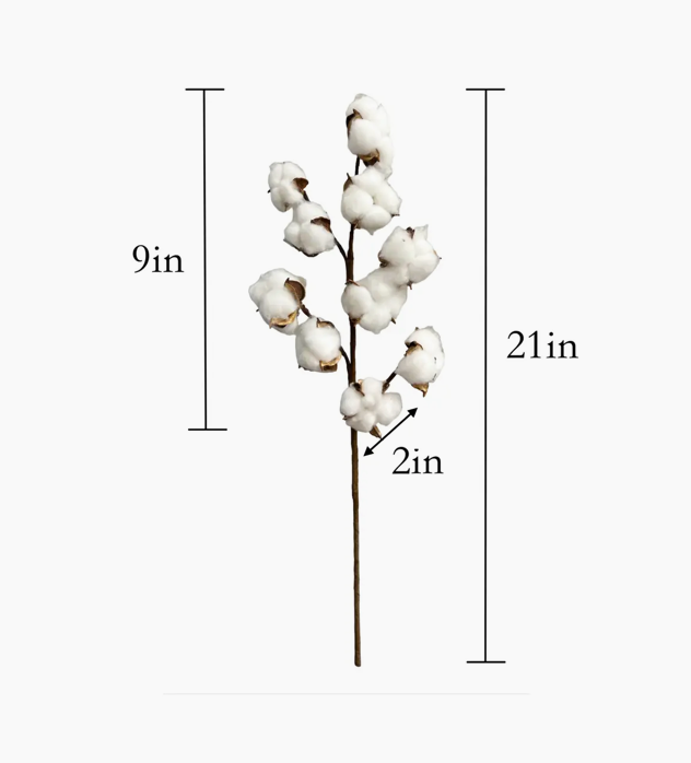 Cotton stems