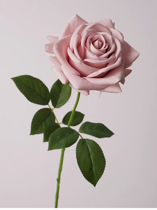 Rose Stem - Light Mauve