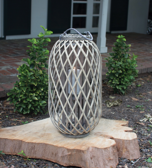 Gray willow lantern