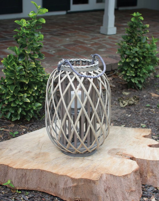 Gray willow lantern
