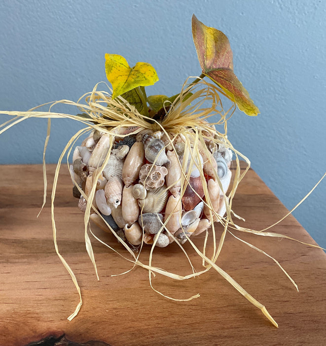 Pumpkin - shells
