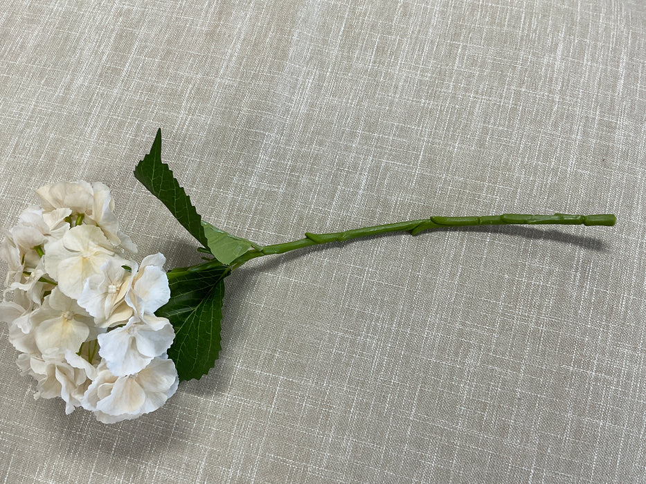 Hydrangea - White