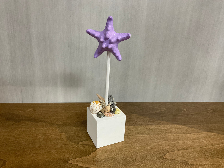 Knobby Starfish on Block