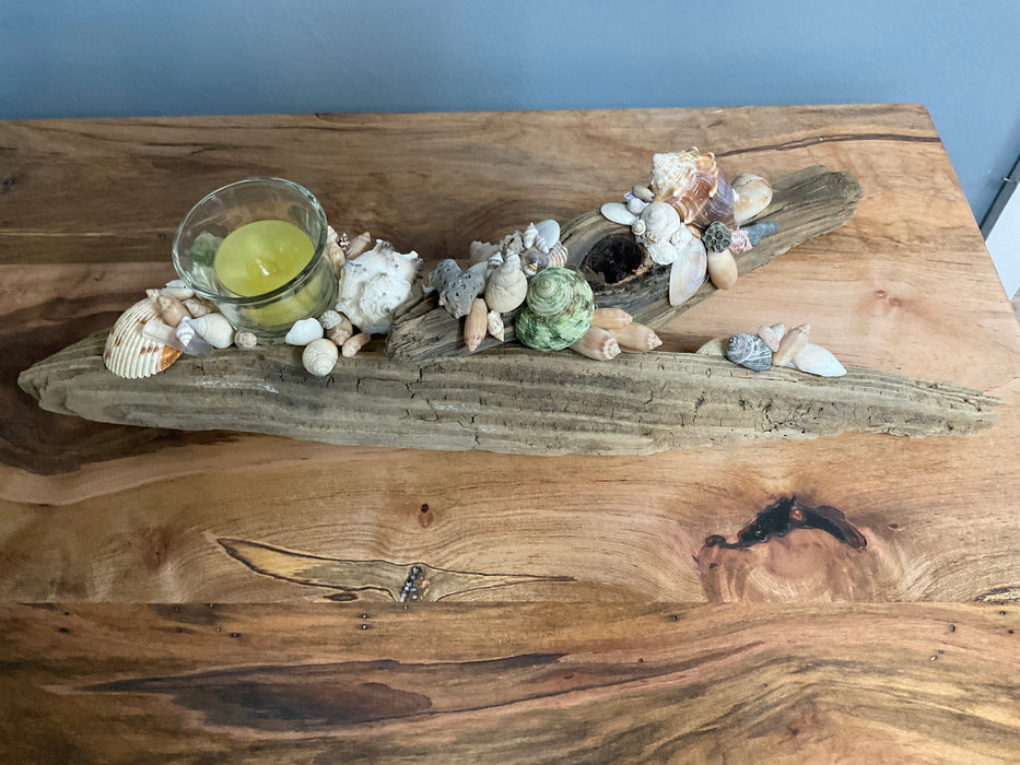 Driftwood and shell candle holder