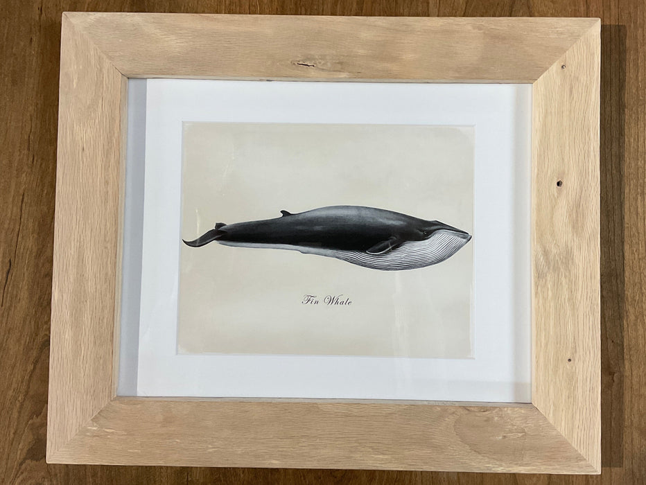 Framed Whale Prints - Red Oak