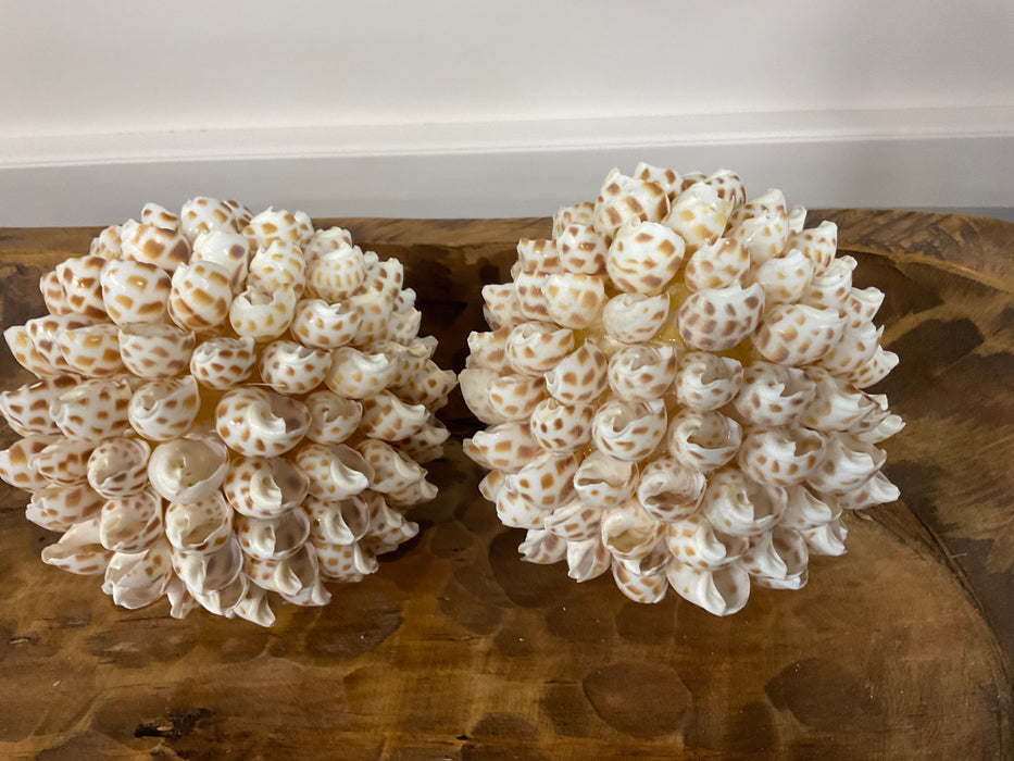 Sea Shell orbs
