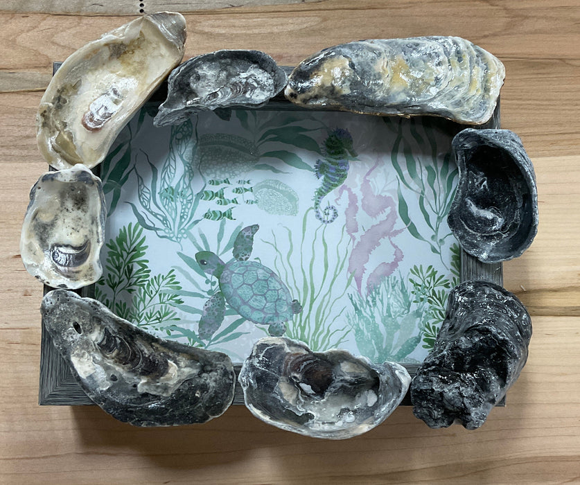 Photo Frame - oyster shells