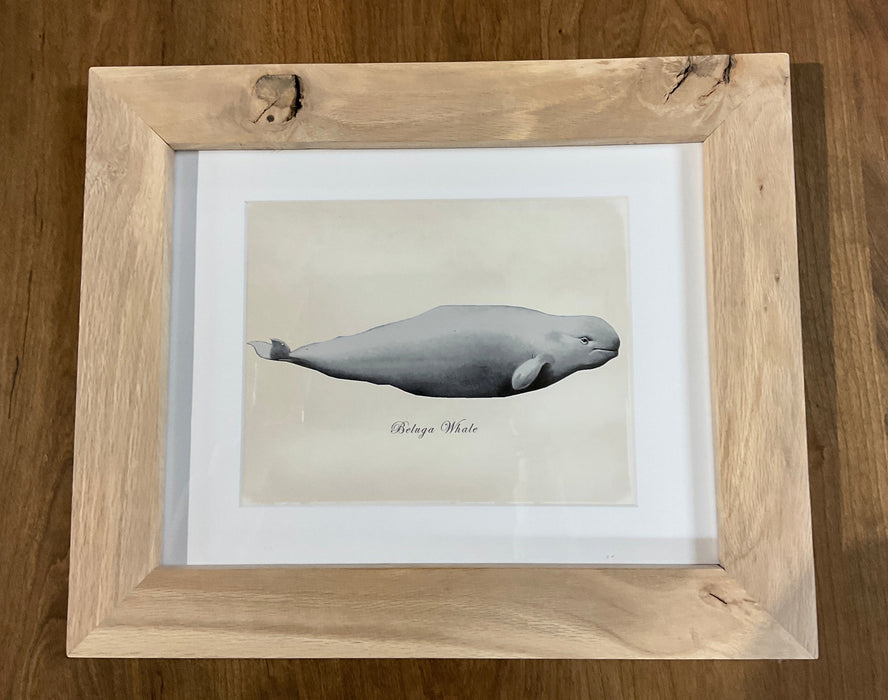 Framed Whale Prints - Red Oak