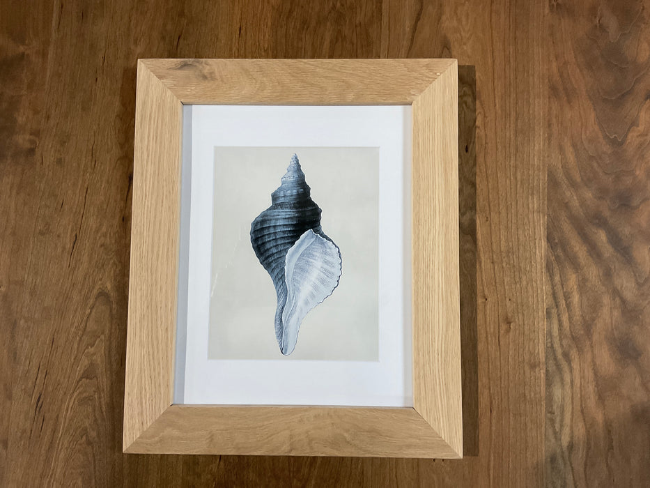 Framed Nautilus Prints - White Oak