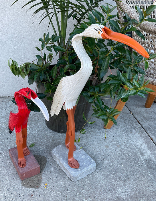 PVC - Ibis