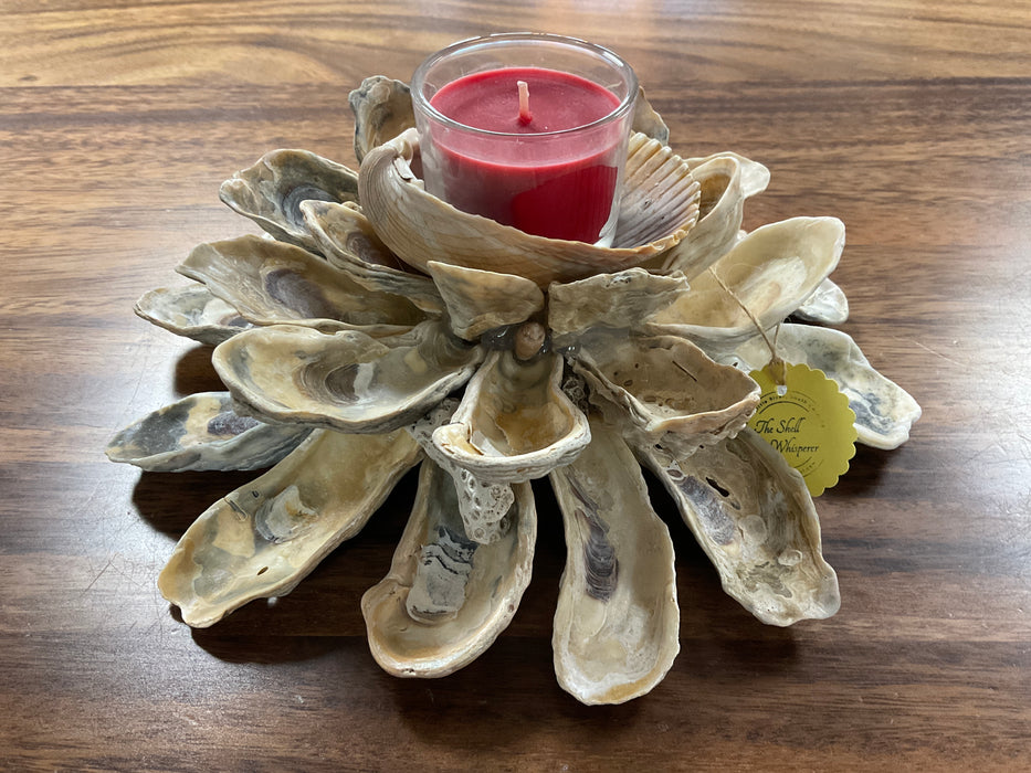 Oyster Shell Candle Holder