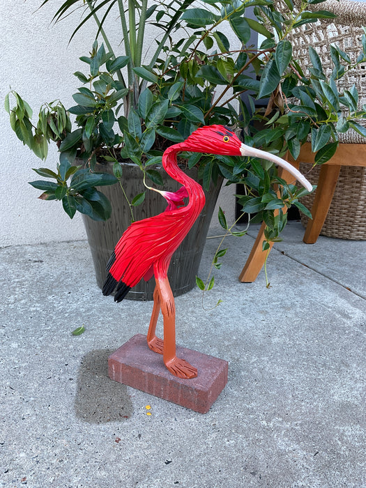 PVC - Ibis