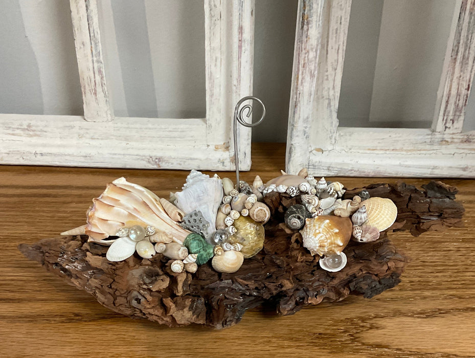 Driftwood with shells picture holder