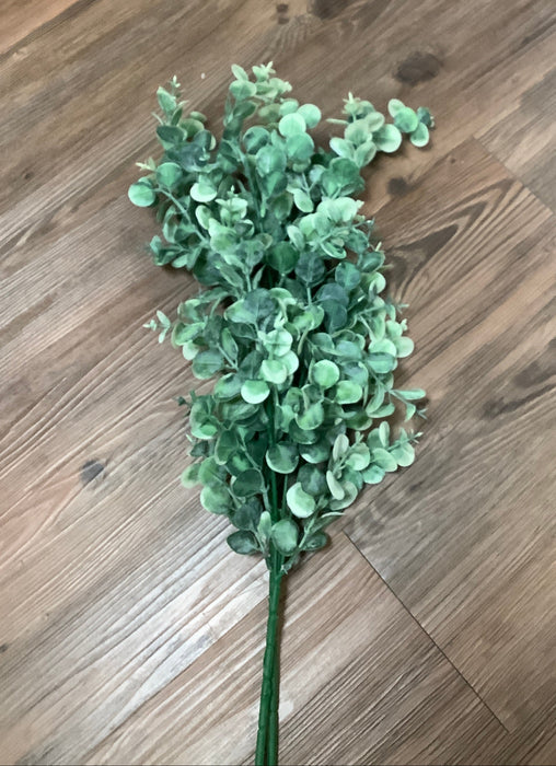 Eucalyptus spray stem
