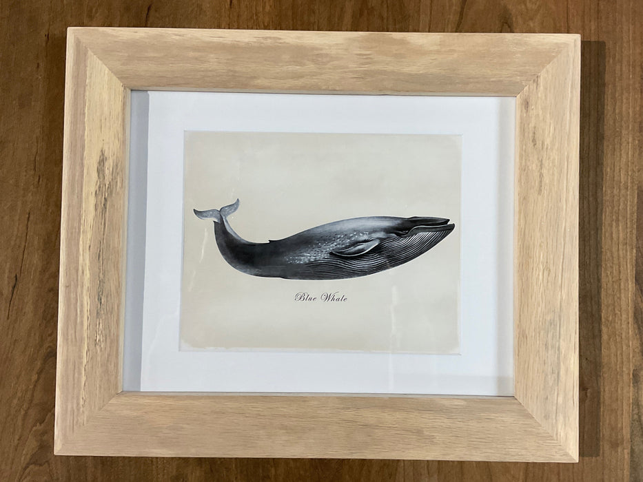 Framed Whale Prints - Red Oak