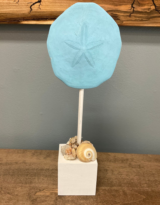 Sand Dollar on Block