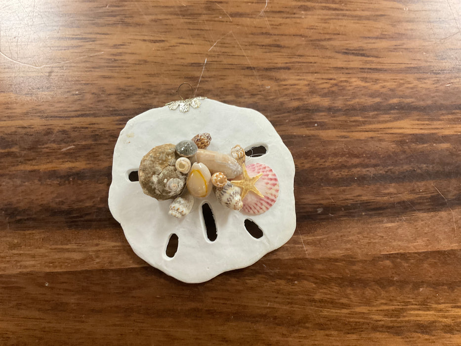 Sand Dollar Ornaments with Shells