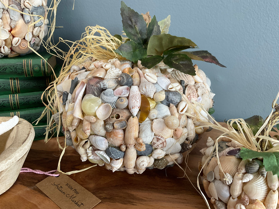 Pumpkin - shells