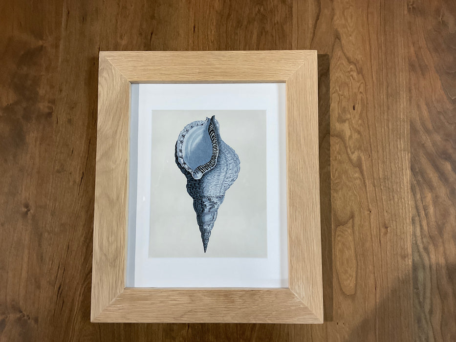 Framed Nautilus Prints - White Oak