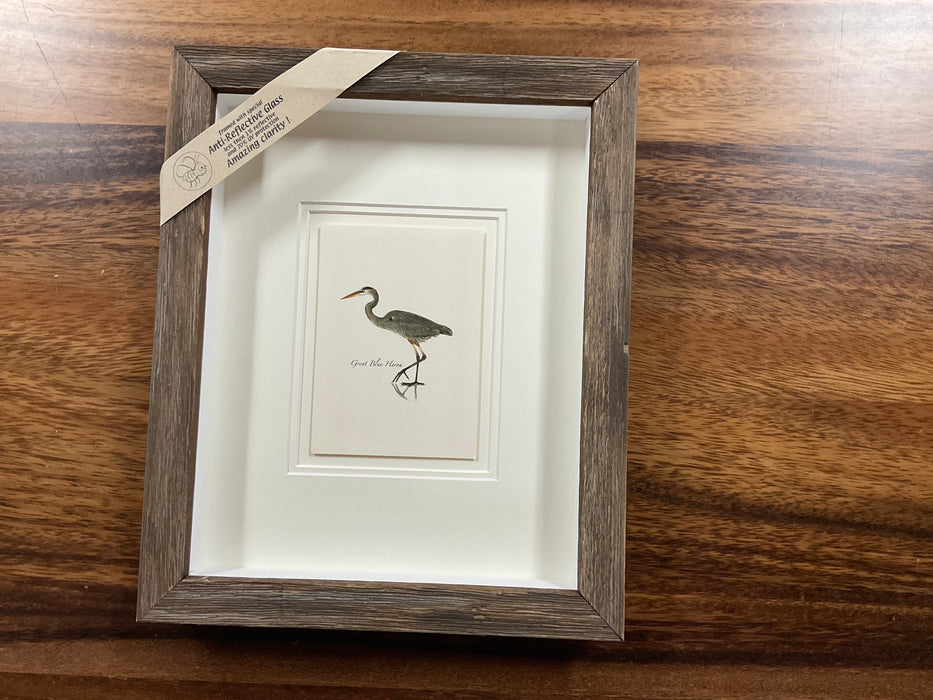 Framed print - Great Blue Heron