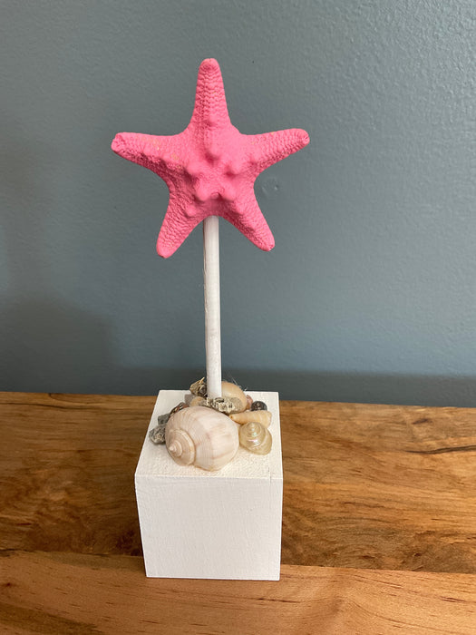 Knobby Starfish on Block