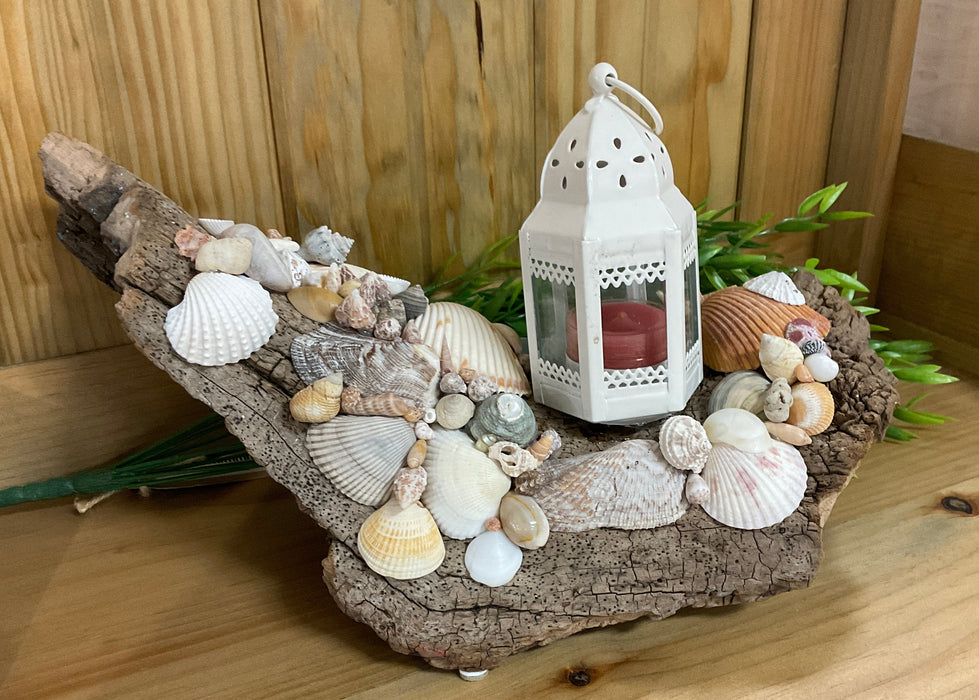 Driftwood and shell candle holder