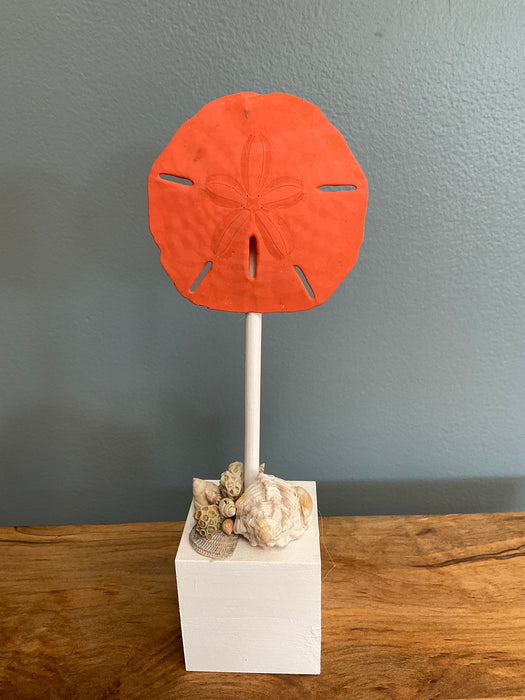 Sand Dollar on Block