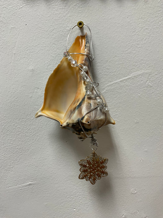 Hanging whelk shell decorated