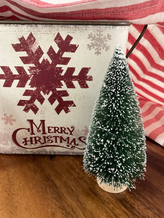 Snowy Bottle Brush Tree