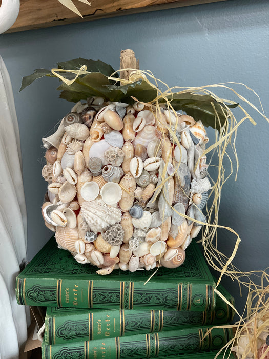 Pumpkin - shells