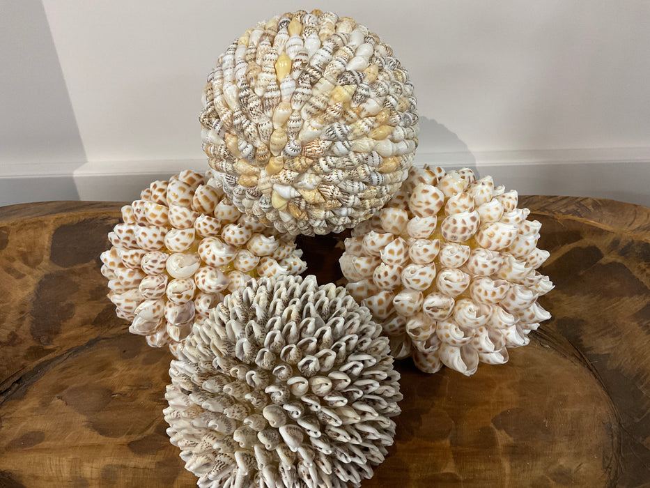 Sea Shell orbs