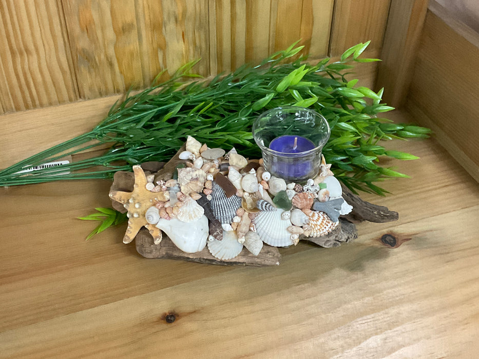 Driftwood and shell candle holder
