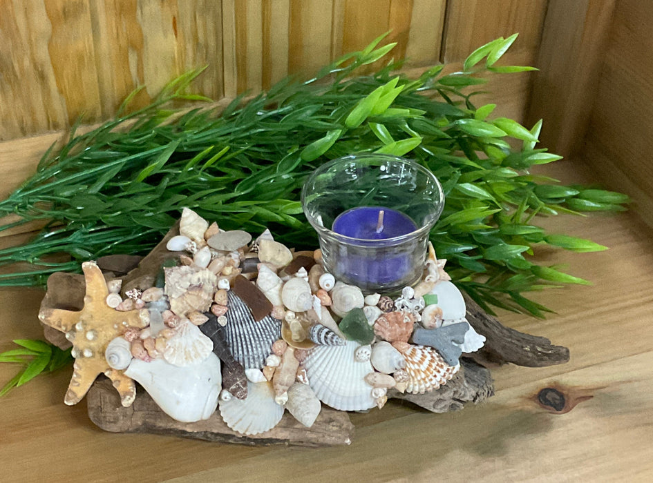Driftwood and shell candle holder