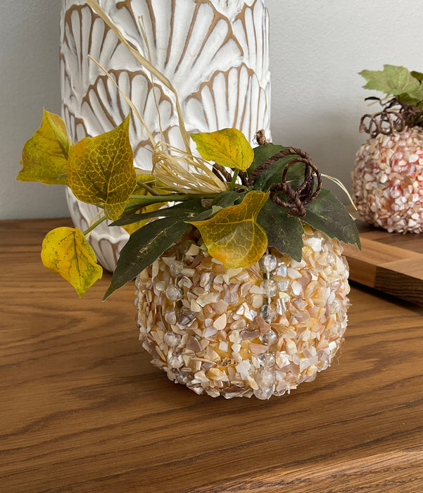 Pumpkin - crushed shells