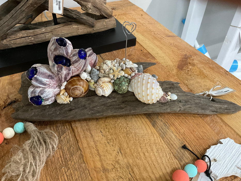 Driftwood with shells picture holder