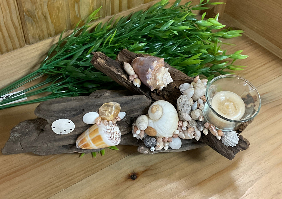 Driftwood and shell candle holder
