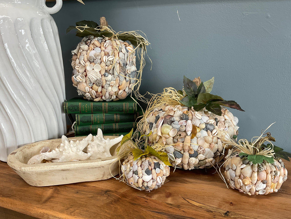 Pumpkin - shells